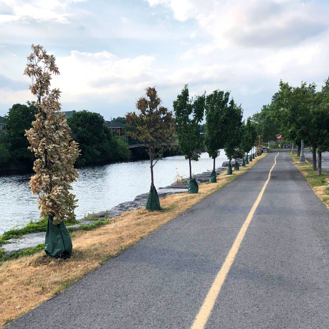 Riverfront Trail