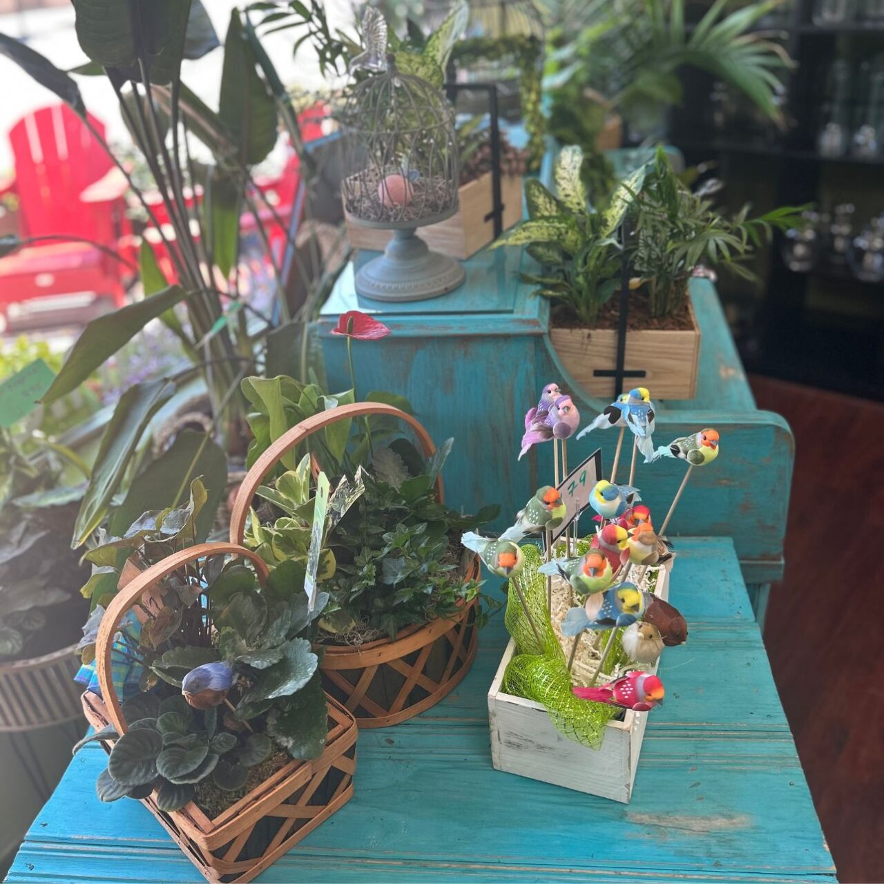 Flowers By Dustin