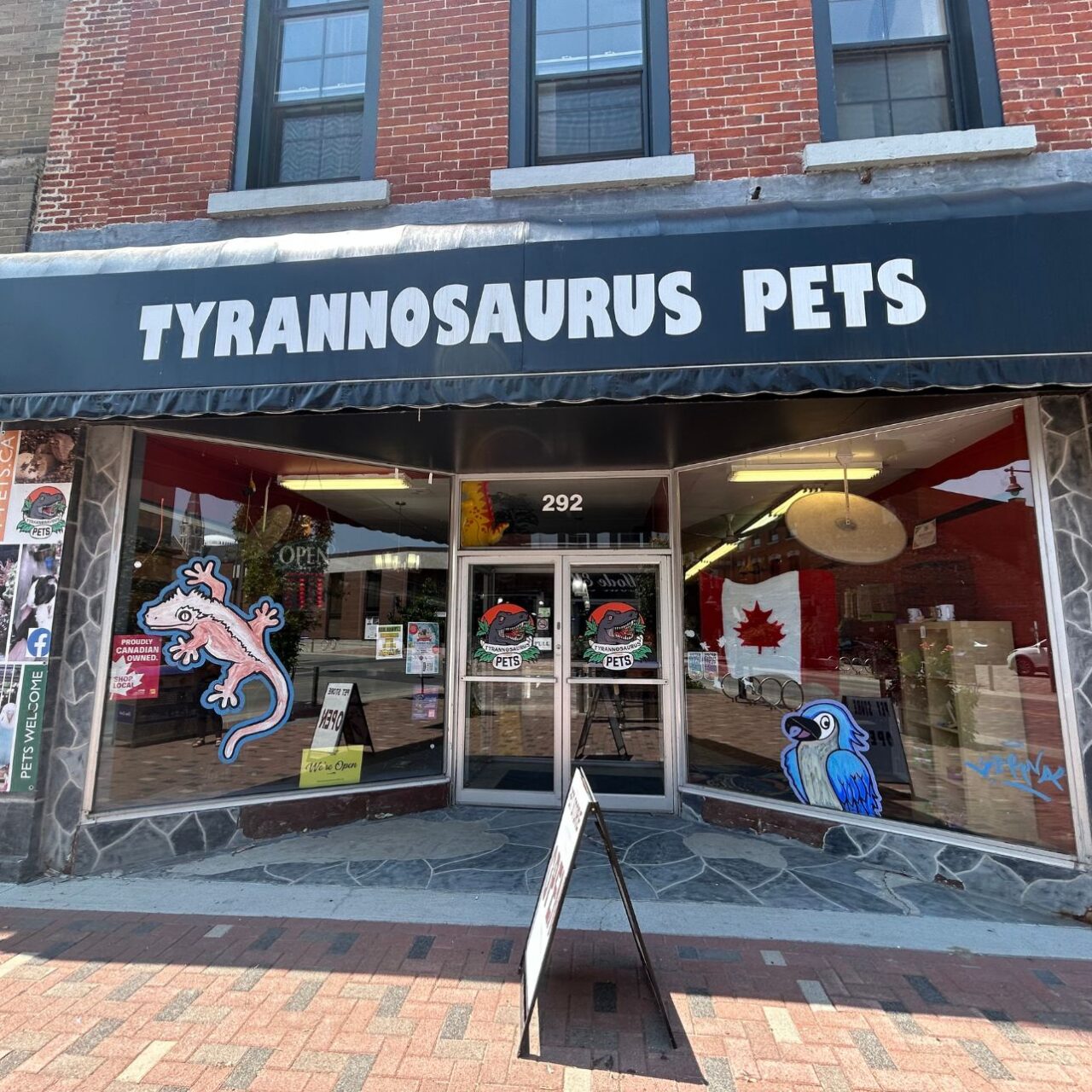 Tyrannosaurus Pets