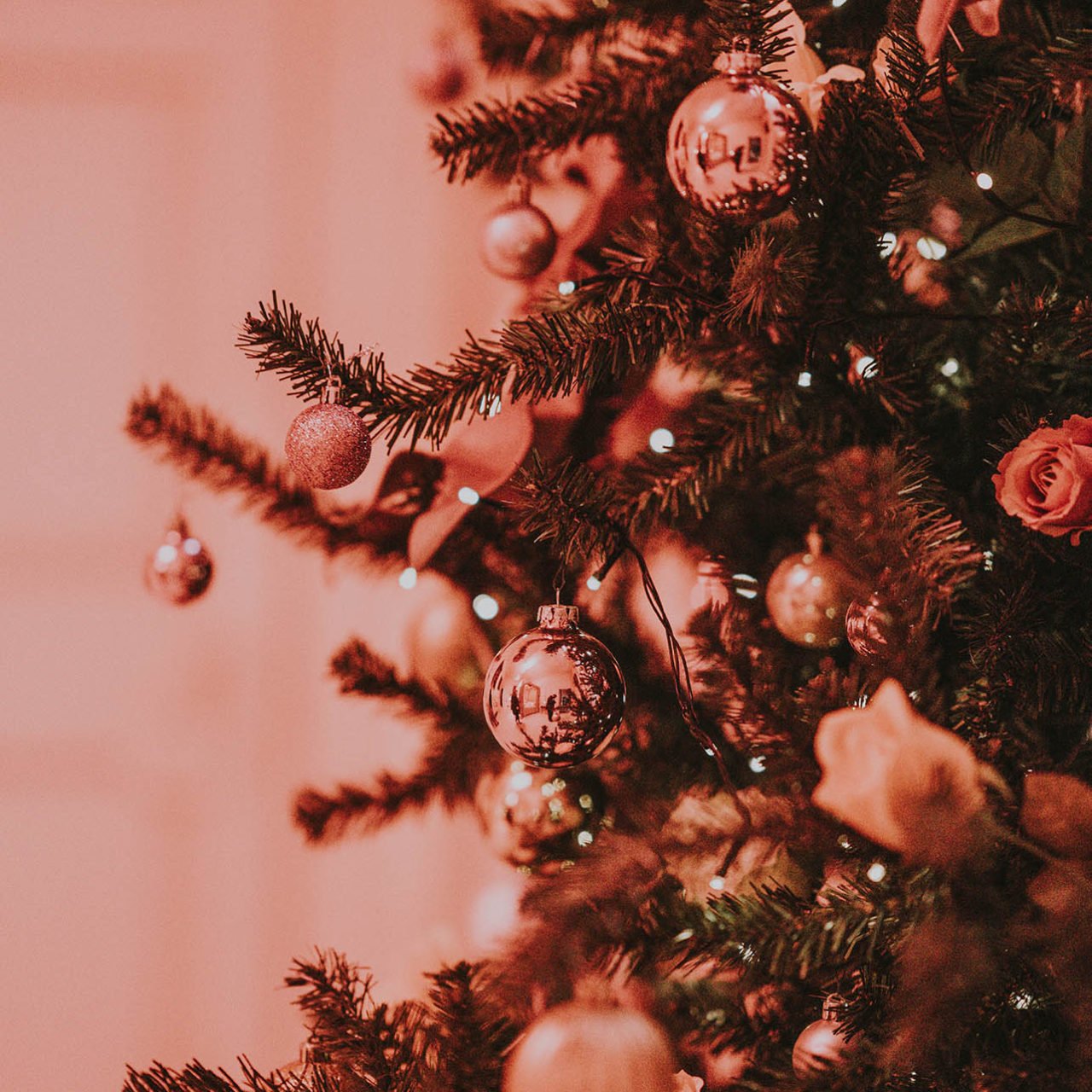 The Barra MacNeils: An East Coast Christmas