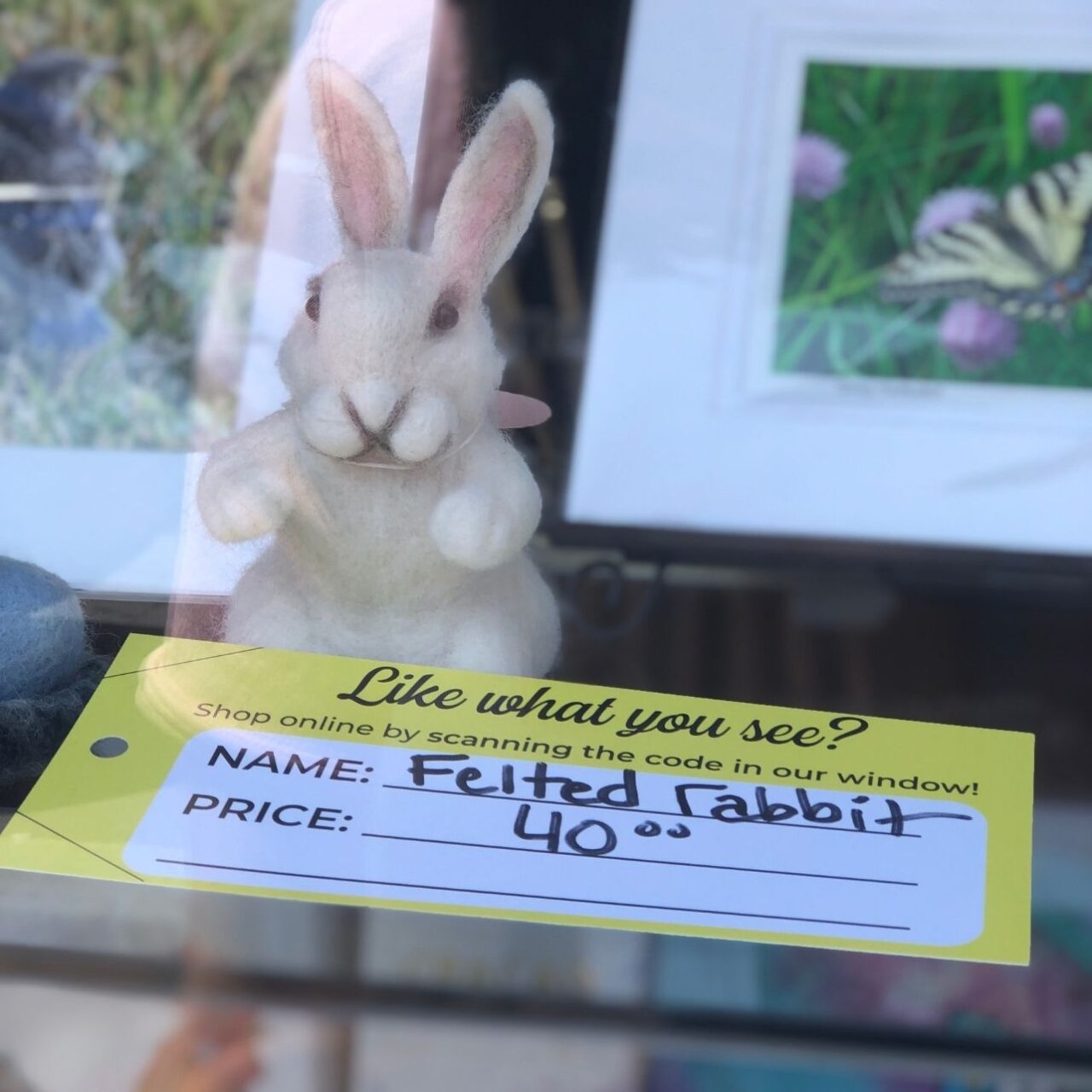 Window Shopping