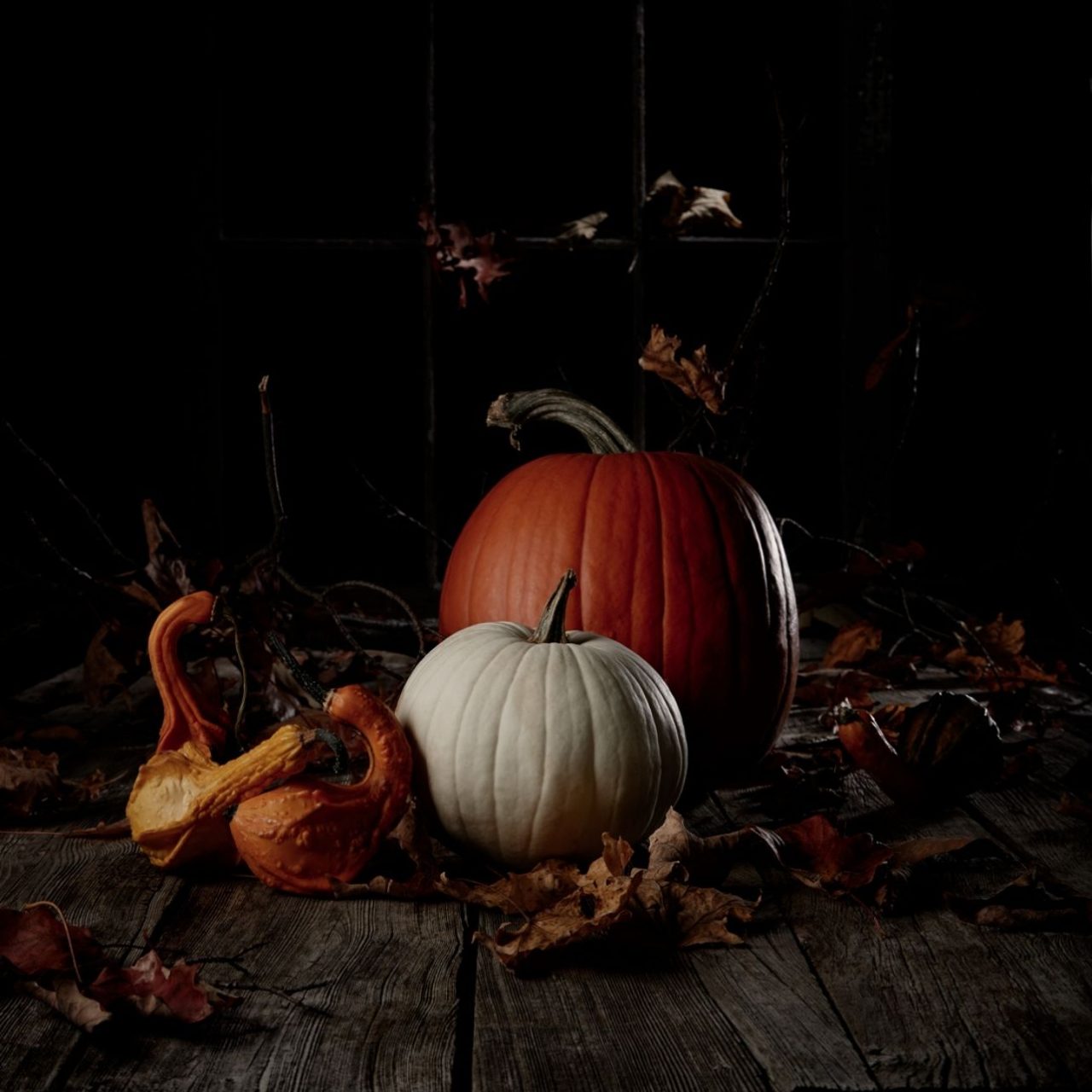 Carved Pumpkin Stroll